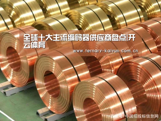 全球十大主流编码器供应商盘点|开云体育(图4) 开云体育