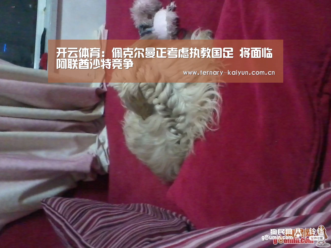 开云体育:佩克尔曼正考虑执教国足 将面临阿联酋沙特竞争(图3) 开云体育