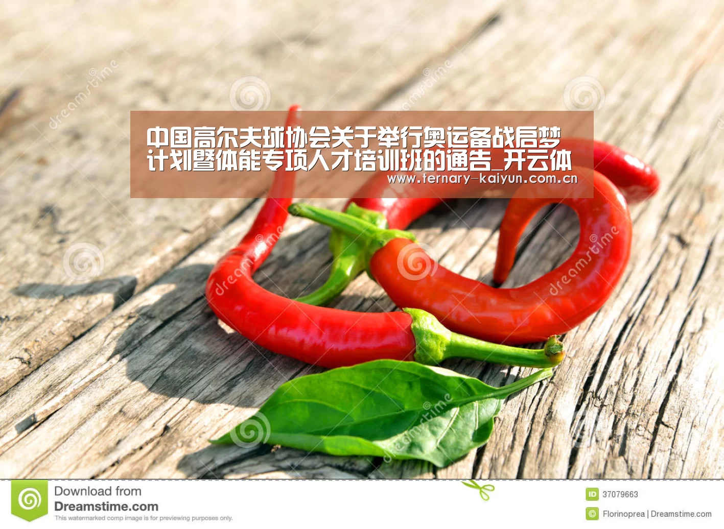 中国高尔夫球协会关于举行奥运备战启梦计划暨体能专项人才培训班的通告_开云体育(图1) 开云体育